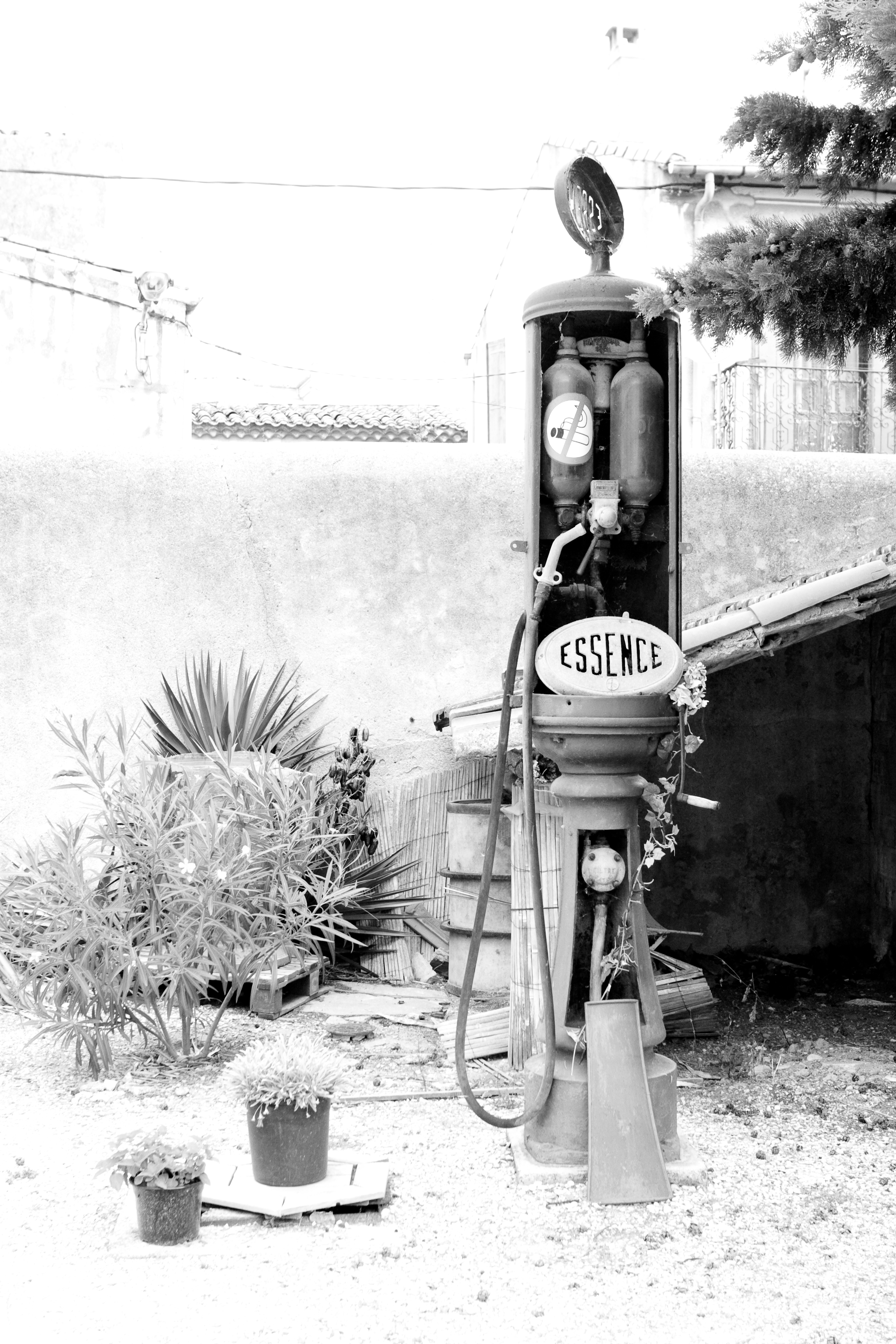 vakantie 2009 wijnproeven-015.jpg